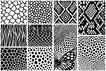 Animal skin and insect texture patterns in bold black and white, Transparent Background © FriskySloths
