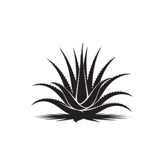 Aloe Vera Vector (3).eps