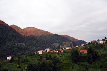 Fototapety na wymiar - Fototapeta24.pl