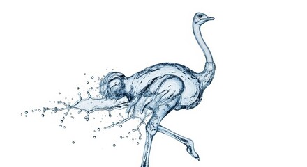 Fototapeta premium Splash of water shaped like a ostrich on a solid white background