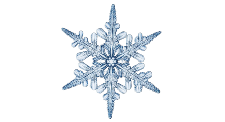 Macro Detailed Snowflake Isolated on Transparent Background Winter Element