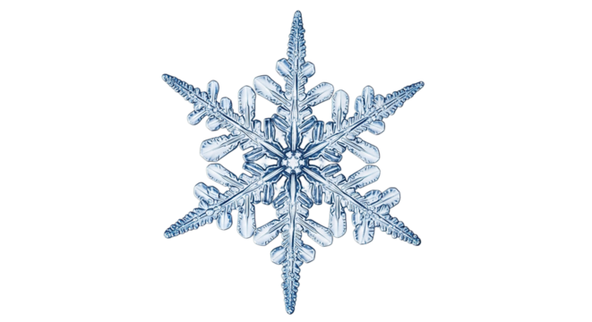Macro Detailed Snowflake Isolated on Transparent Background Winter Element