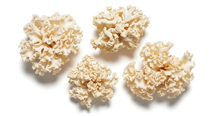 Close up of four pieces of dried coral on white background.