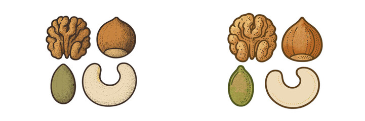 Nutritious assortment of healthy nuts and seeds, including walnut, hazelnut, pumpkin seed, and cashew, for a balanced diet