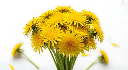 Closeup of a bouquet of bright yellow dandelions.