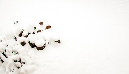 Thick blanket of soft white snow with gray shadows contrasts strongly with a heap of dark logs with rough bark on a Missouri winter day.