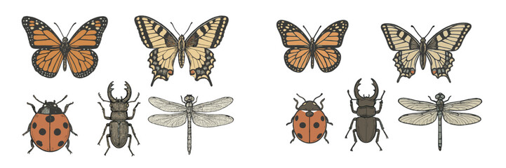 Detailed collection of various colorful flying and crawling insects including monarch butterflies, swallowtail butterflies, ladybugs, stag beetles, and dragonflies in a natural history style
