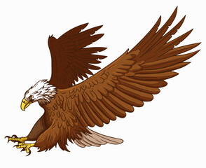 Eagle hunting painting colorful cartoon sketch