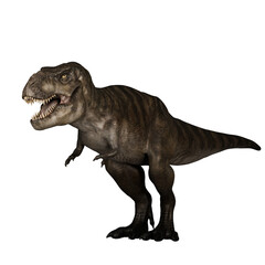 Dinosaur jurassic animal t rex © yogi