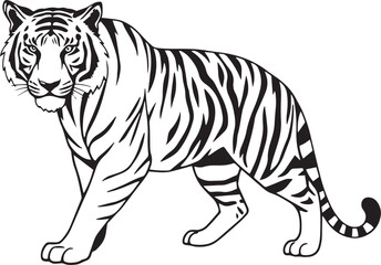 The Wild Tiger. Hand drawn vector illustration