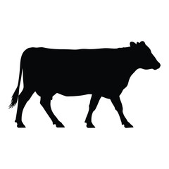Silhouette of a black cow walking livestock animal farm agriculture domestic bovine grazing silhouette