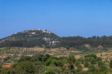 Fototapeta premium The majestic Castle of Ourém is visible atop a lush, green hill, overlooking a diverse landscape of olive groves and fields under a clear blue sky