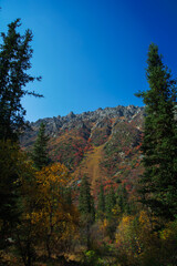 Autumn mountain landscape in national park Ala archa in Kyrgyzstan