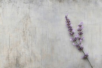 A sprig of lavender with delicate purple flowers resting on a weathered, pale gray wooden surface.