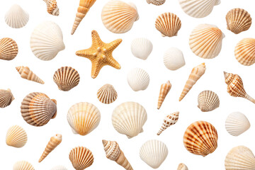 Collection of various seashells including scallops, conch shells, and starfish scattered randomly, isolated on a transparent background