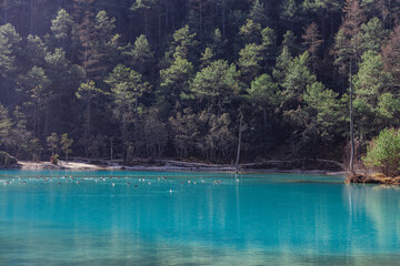 The landscape of Blue Moon Valley in Yulong Snow Mountain, Lijiang, Yunnan Province