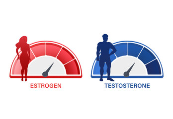Estrogen and testosterone levels measuring with speedometer and human silhouettes