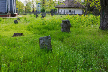 Old stone crosses at the ancient cemetery. Abandoned graveyard