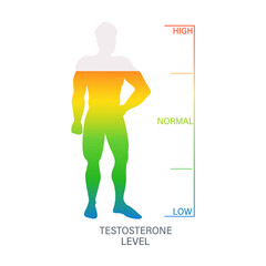 Male body silhouette showing testosterone level from low to high