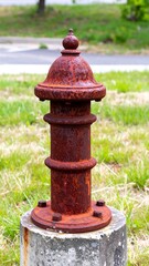 Rusty fire hydrant in a grassy area