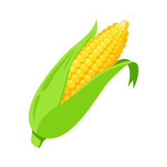 corn isolated on white background