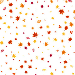 Autumn flying and falling leaves background with colorful seasonal foliage in red, orange, and yellow. Perfect for nature themes, seasonal sales, posters. Vector illustration