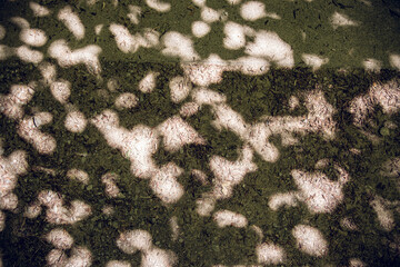 Abstract pattern of sunlight and tree shadows on textured forest ground