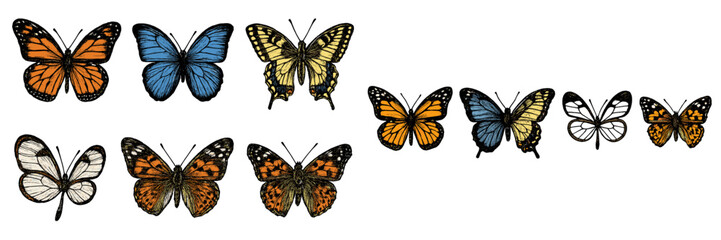 Fototapeta premium Colorful butterflies display intricate patterns and vivid colors in a detailed arrangement on a white background