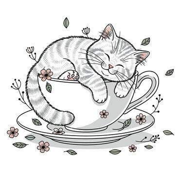 cat with a cup of tea
