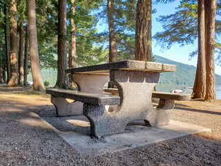 Outdoor picnic area with stone tables and benches surrounded by pine trees in the park
