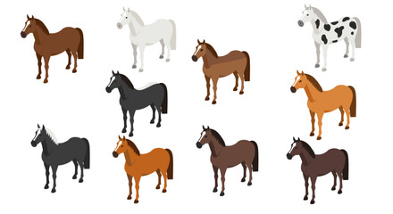 Collection of colorful horse illustrations in various breeds and patterns