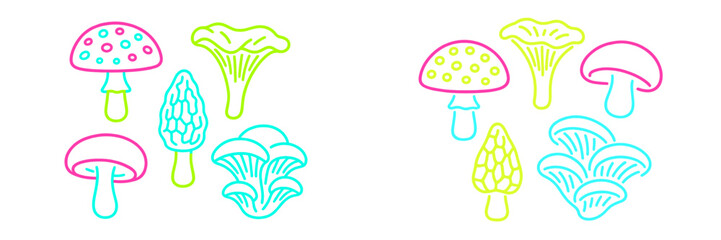 Colorful illustration of various mushrooms with unique shapes and patterns
