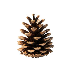 Isolated pine cone with intricate scales creating a visually striking natural texture composition