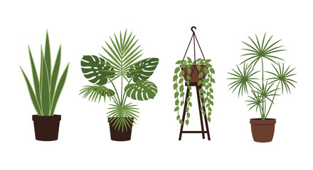 Various potted houseplants displaying diverse leaf shapes and growth patterns.