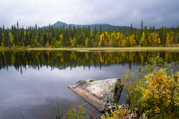 Autumn forest mirrored on the calm surface of a lake in Sweden