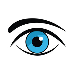 One blue eye with black eyebrow and eyelashes looks forward on white background
