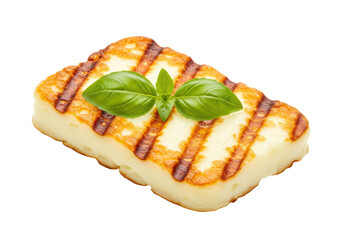 Isolated Grilled Halloumi Cheese with Fresh Basil Herb Close-Up Mediterranean Food Delicatessen