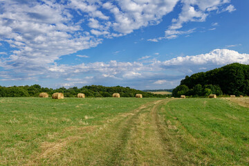 Scenic countryside view with hay bales scattered across a lush green field under a vibrant blue sky.