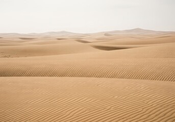 Desert landscape with golden sand dunes, undulating patterns, and hazy sky background