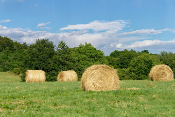 A picturesque landscape featuring hay bales scattered across a vibrant green field under a bright blue sky.