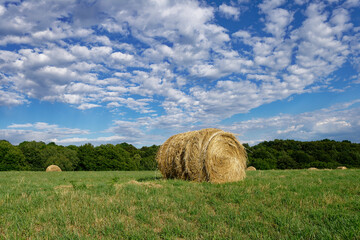 A round hay bale in a lush green field with trees and a bright blue sky