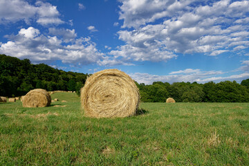 A picturesque view of hay bales in a lush green field under a bright sky.