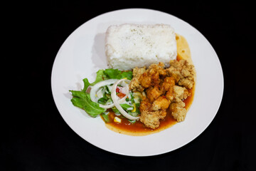 Delicious Crispy Chicken Steak with Rice and Fresh Salad Plate Dish