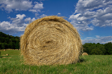 A picturesque scene of a round hay bale in a lush green field under a bright blue sky.