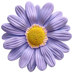 Isolated  Purple Daisy Flower