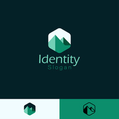 Geometric Mountain Hexagon Logo with three different backgrounds.