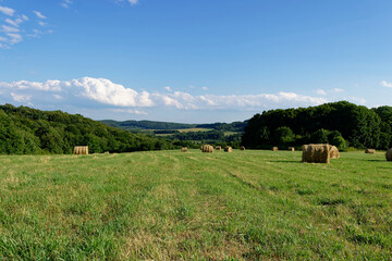 Hay bales dot a lush green field under a beautiful blue sky, creating a tranquil landscape.