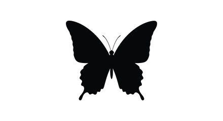 A striking black butterfly form against a stark white background silhouette © MdKabir