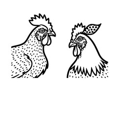 rooster and hen
