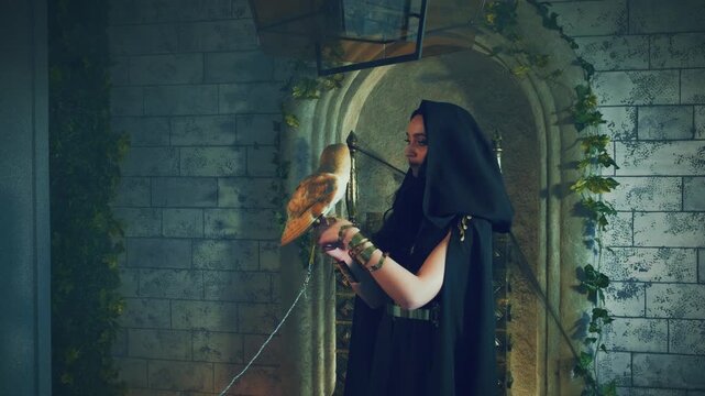 Closeup fantasy vampire woman in black Gothic vintage dress, cape hood on head. Girl beauty face with wild bird white barn owl pet tamed animal. Festive halloween makeup gothic dark queen throne room